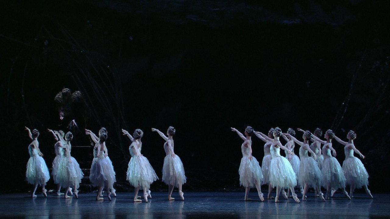 Swan Lake backdrop