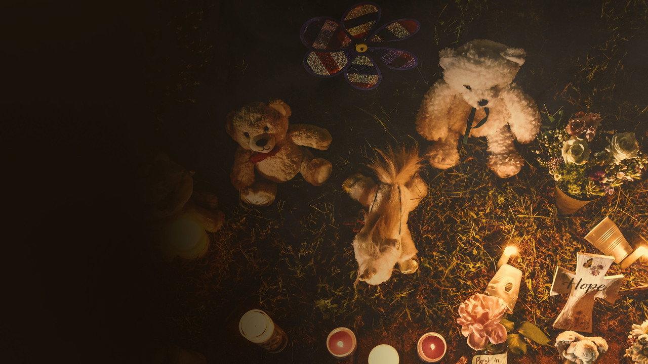 The Murder of Gabby Petito: What Really Happened backdrop