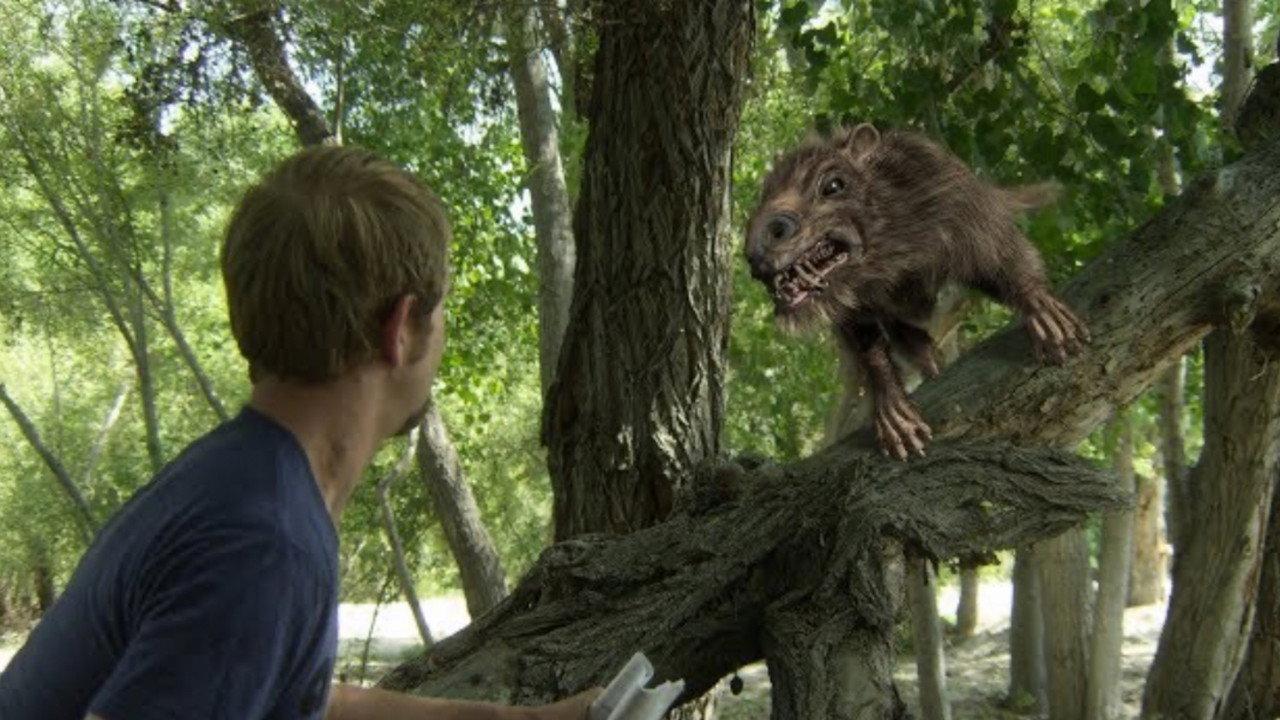 Return of the Killer Shrews backdrop