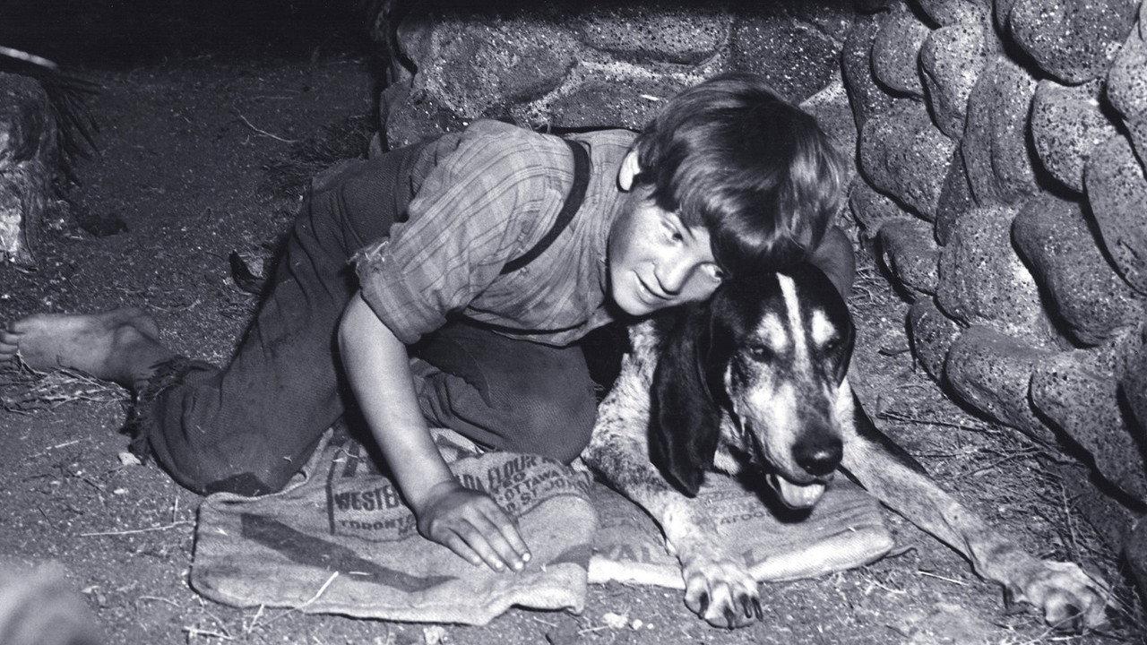 A Boy and His Dog backdrop