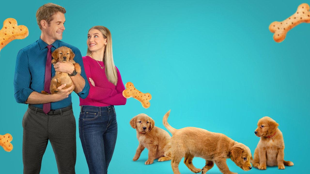 Everything Puppies backdrop