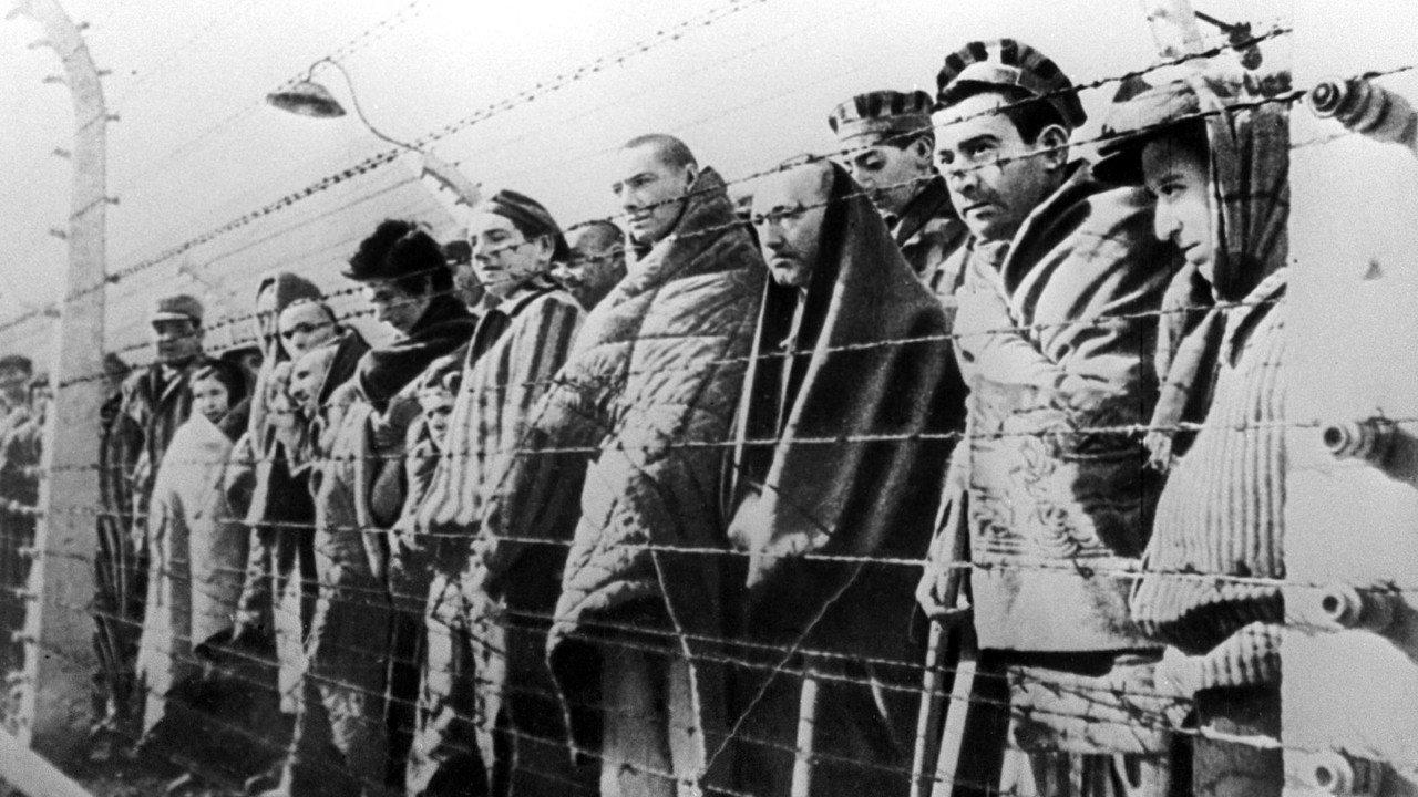 Auschwitz backdrop