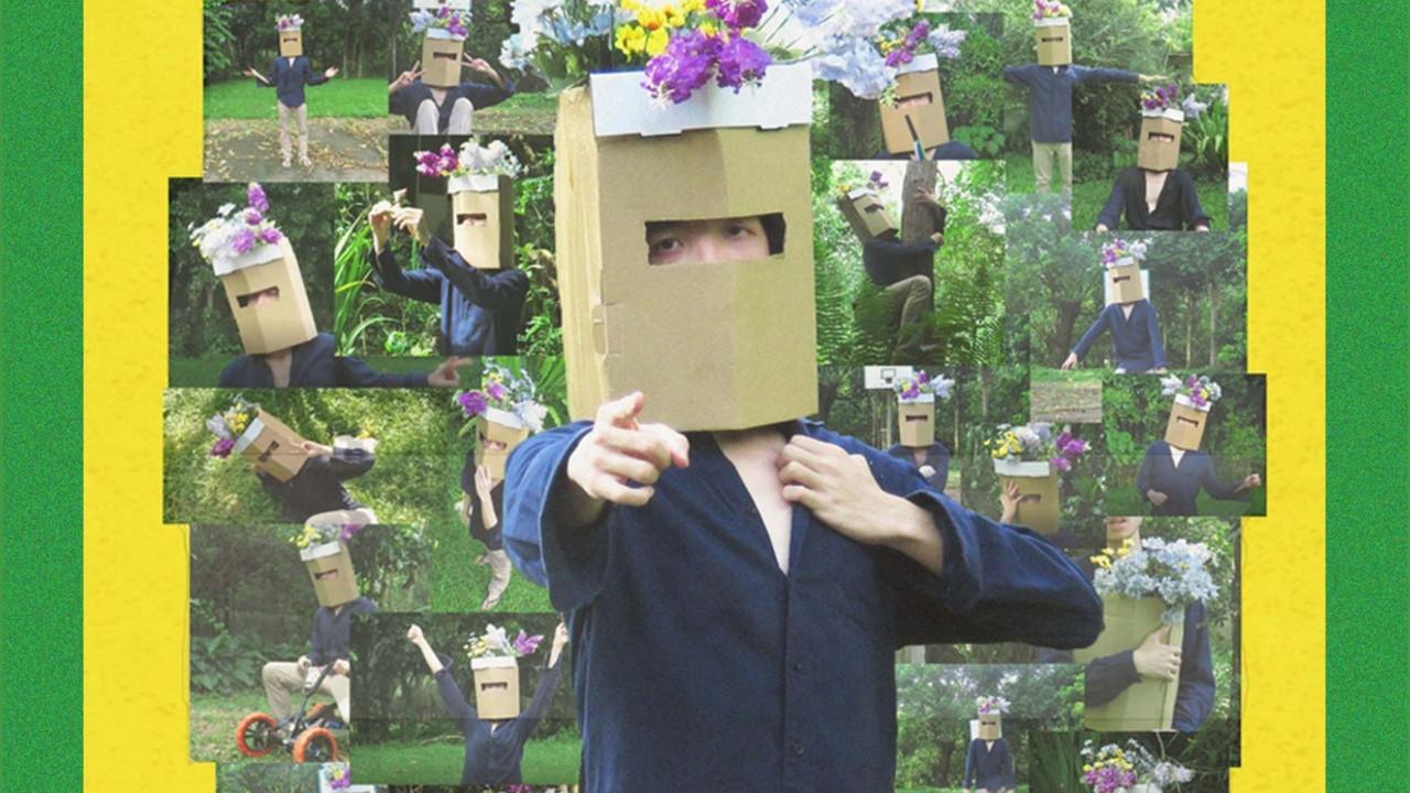 PLANT BOY backdrop