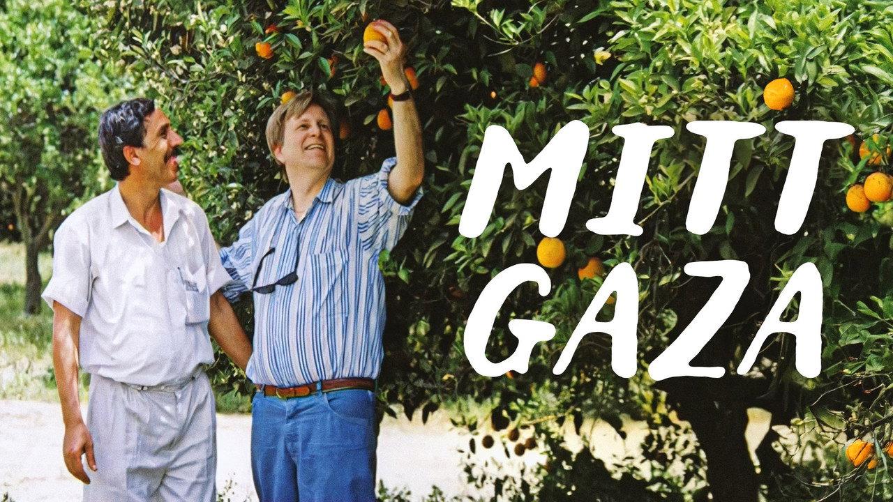 My Gaza backdrop