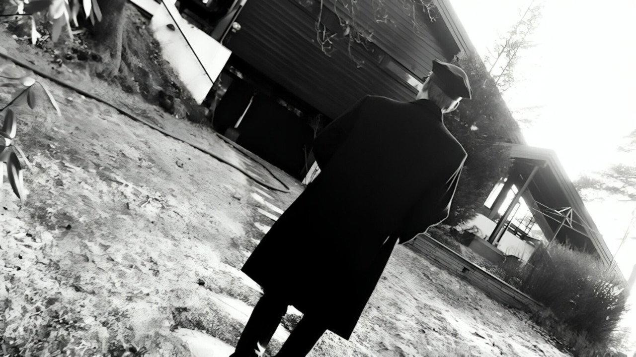 Dead Man's Tale (A Film Noir) backdrop