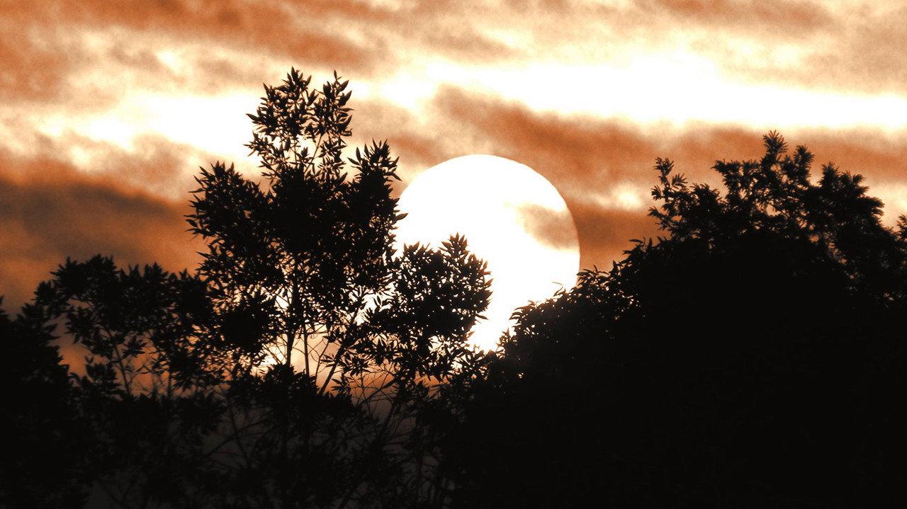 The Snow Behind the Sun backdrop