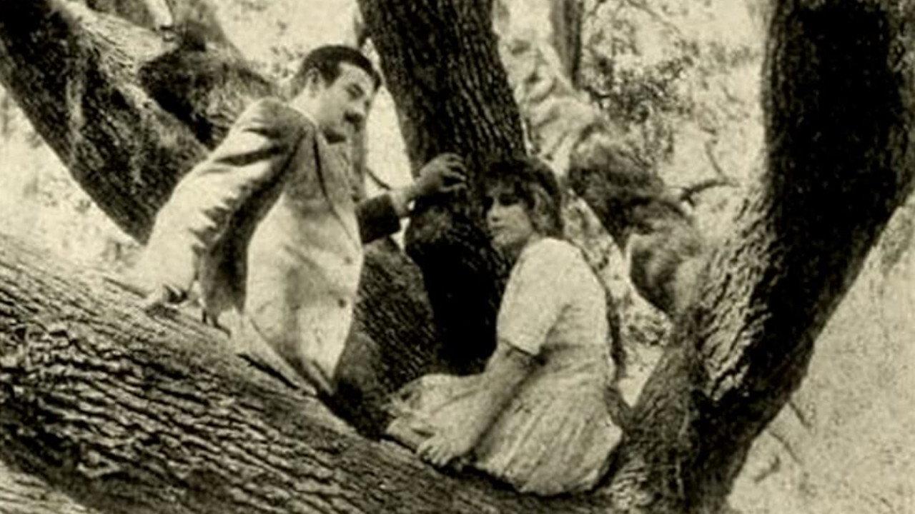 The Girl of the Grove backdrop