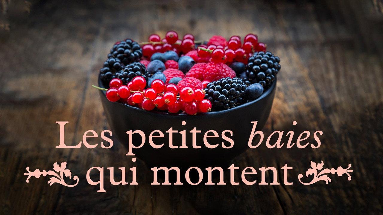 Les petites baies qui montent backdrop