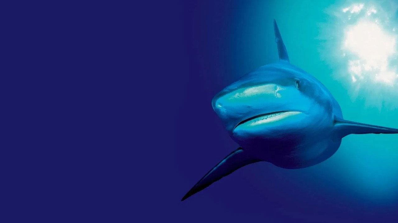 The Blue Planet backdrop