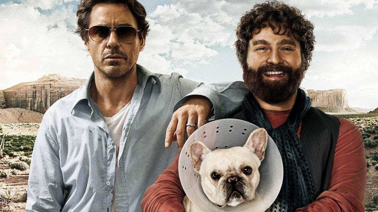 Due Date backdrop