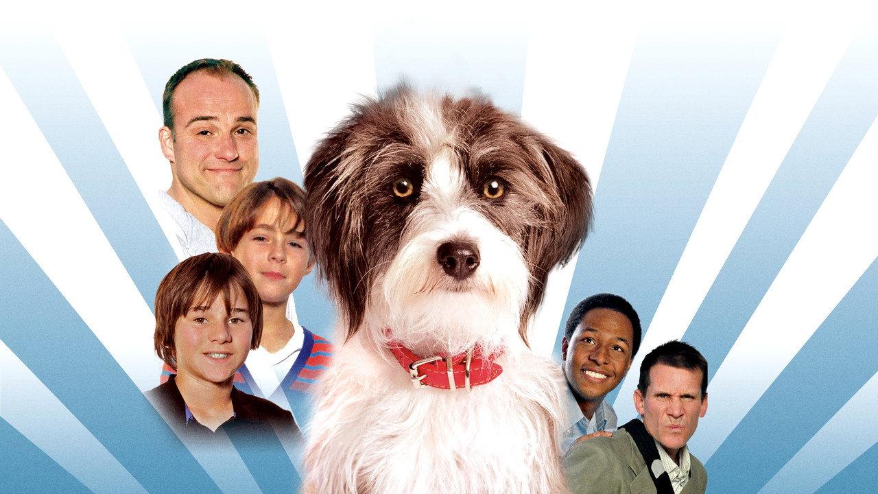 Sox: A Family's Best Friend backdrop