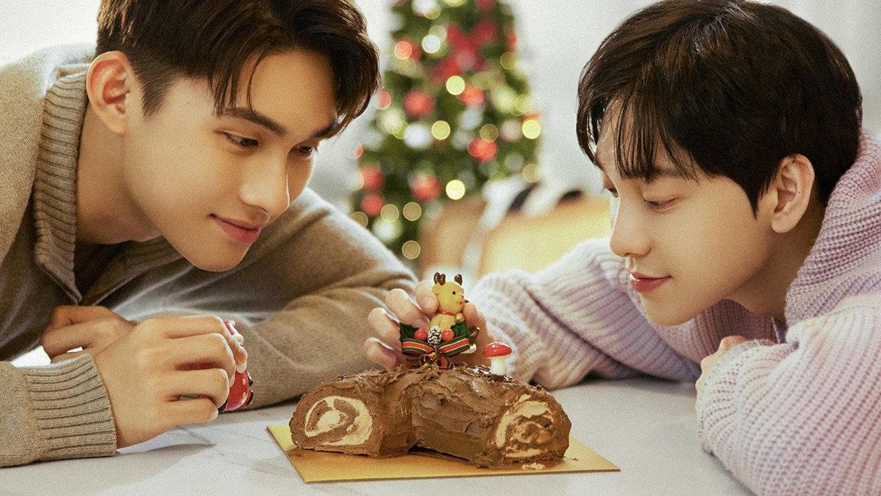 Summerdaze: Christmas Together backdrop
