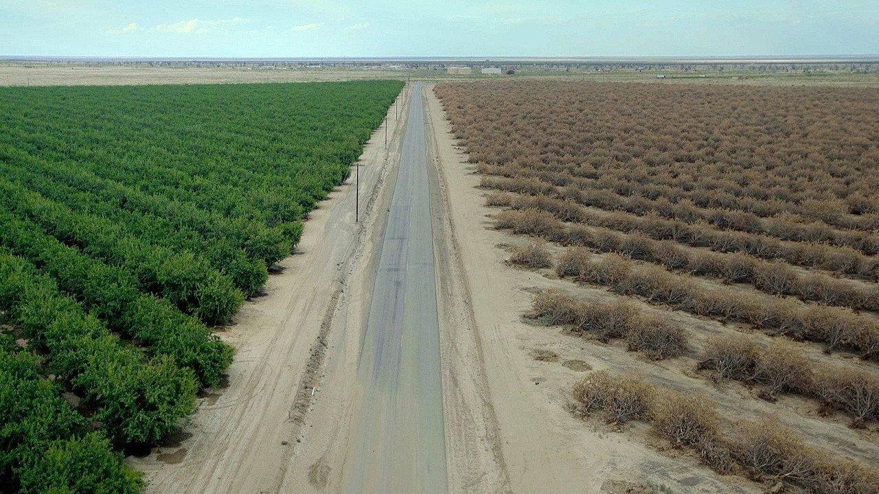 Water & Power: A California Heist backdrop