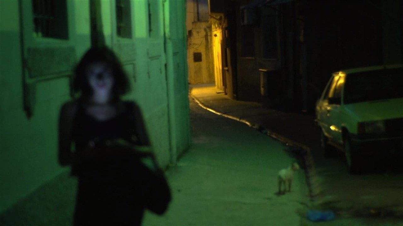 A Gay Girl in Damascus: The Amina Profile backdrop