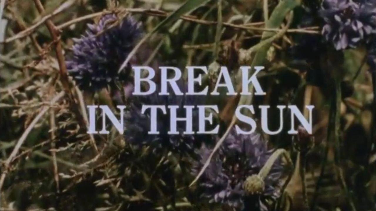 Break in the Sun backdrop