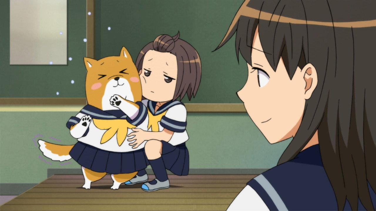 Shiba Inuko-san backdrop