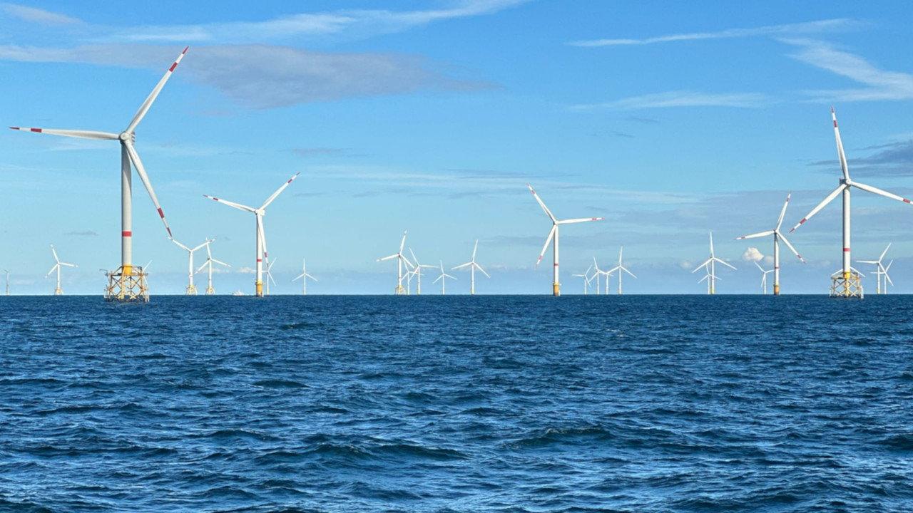 Windparks im Meer - Chance oder Risiko für die Natur? backdrop