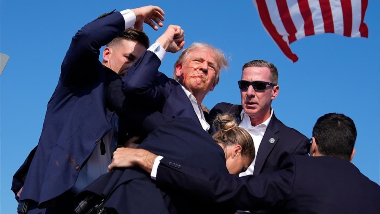 Vindicating Trump backdrop