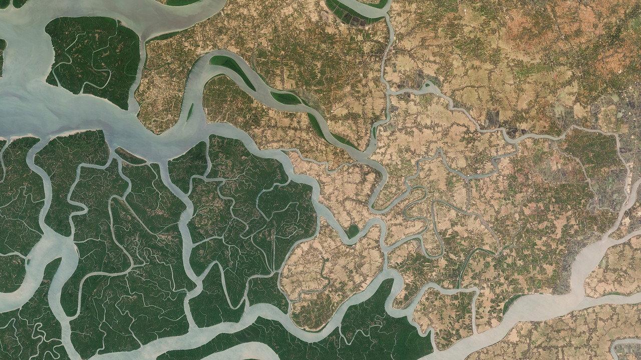 2024: The Year From Space backdrop
