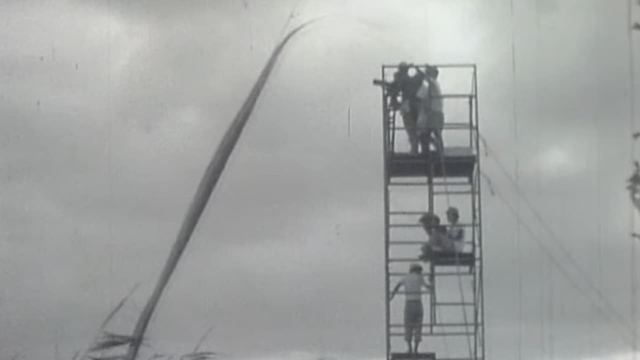 Onibaba : Film Location backdrop