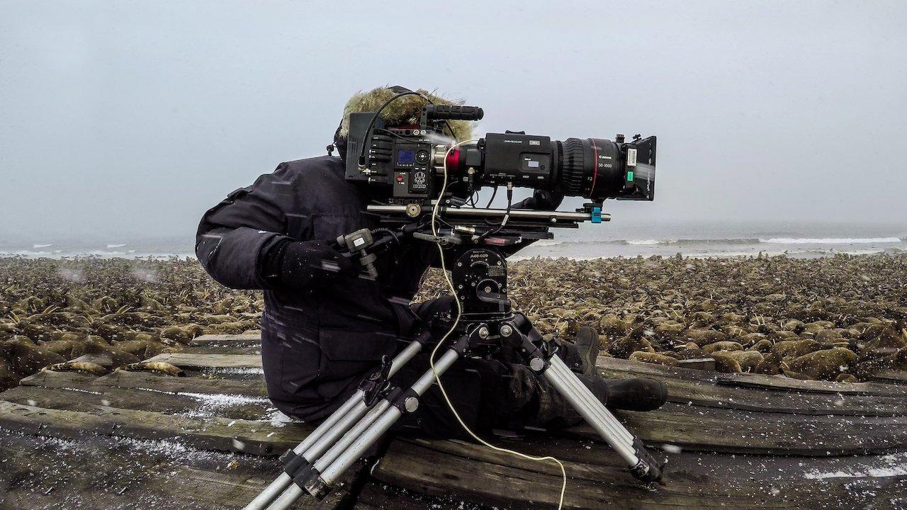 Our Planet: Behind the Scenes backdrop