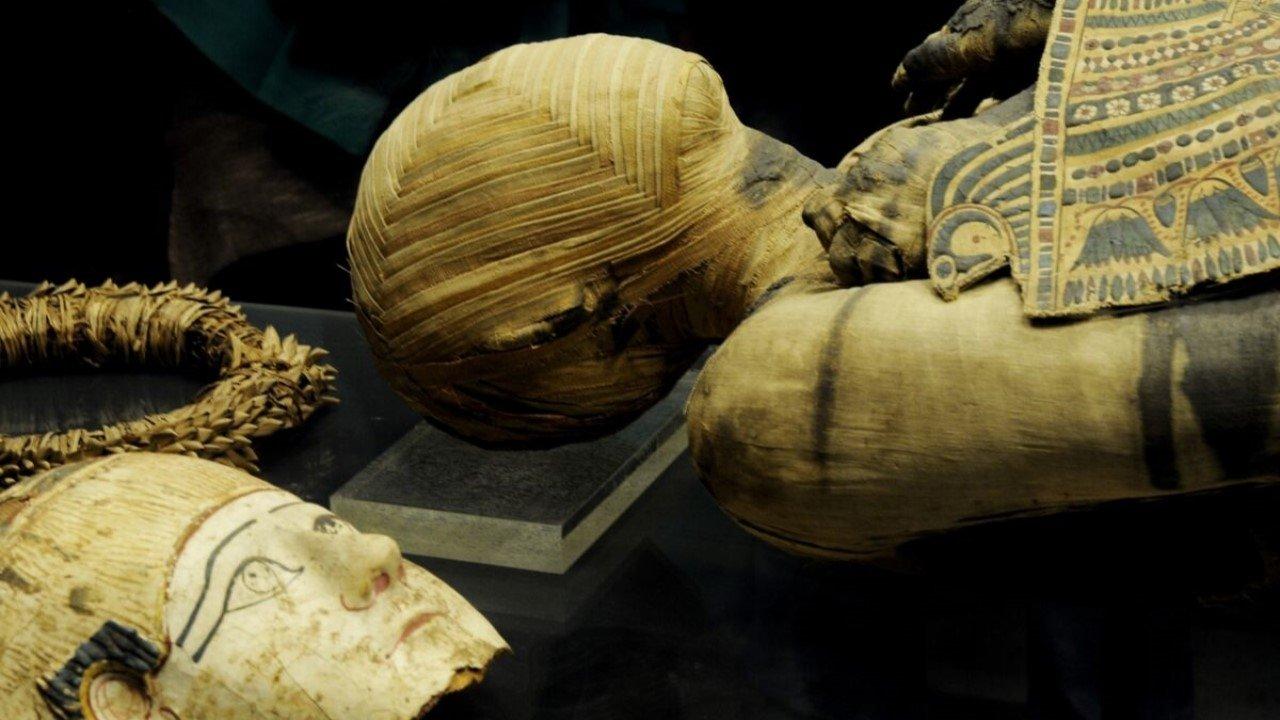 Momies d'Égypte, en quête d'immortalité backdrop