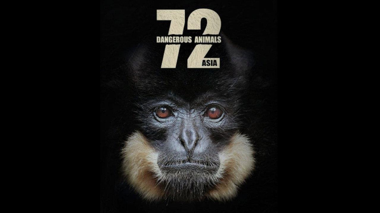 72 Dangerous Animals: Asia backdrop