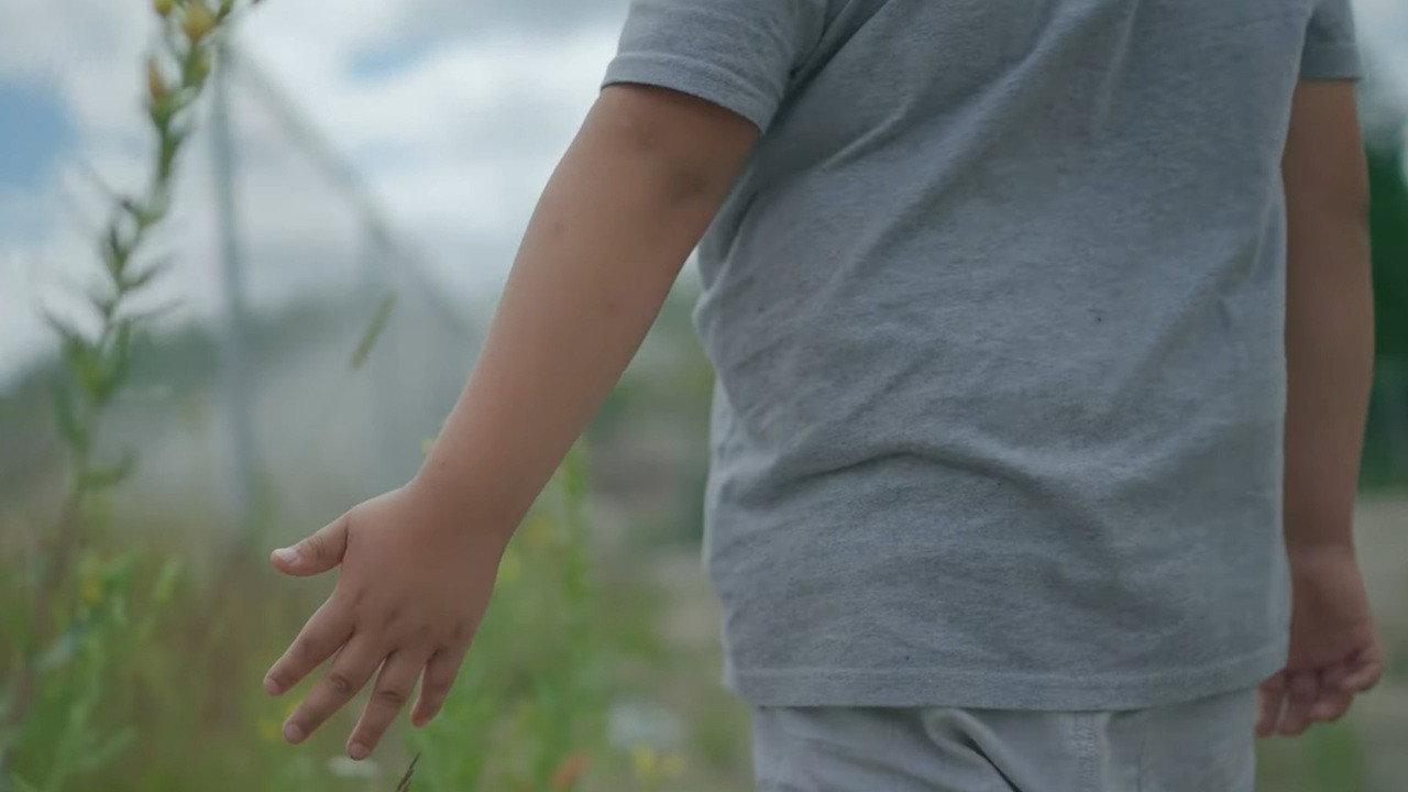 Ni Wapiten backdrop