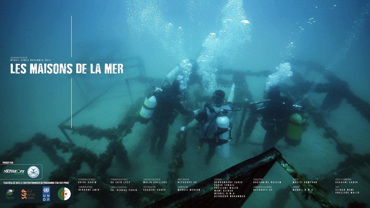 Les Maisons De La Mer backdrop