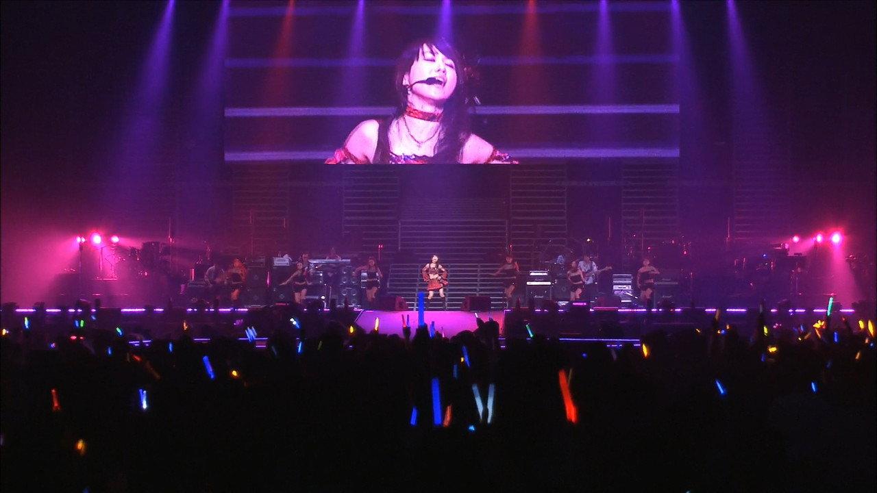 Animelo Summer Live 2008 -Challenge- 8.31 backdrop