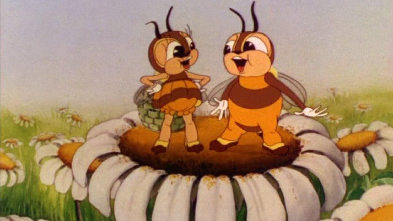 Honeyland backdrop