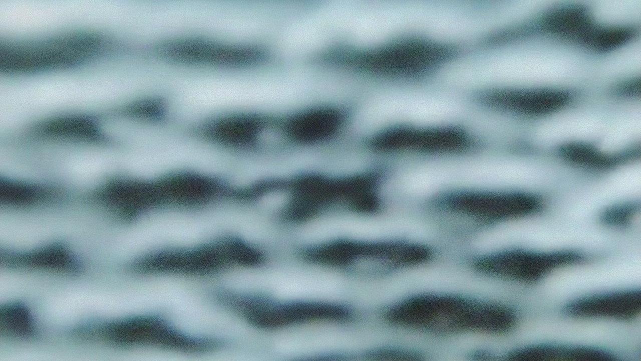 The Wind backdrop