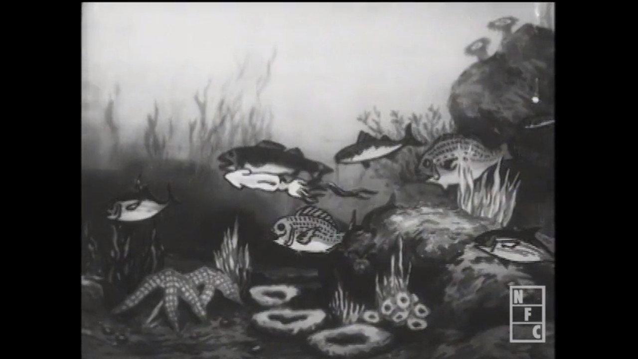 The Nation of Fish backdrop