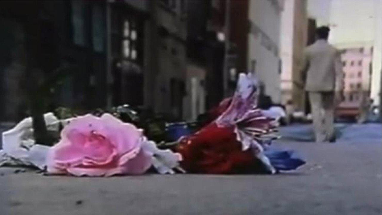 The Man Who Loved Flowers backdrop