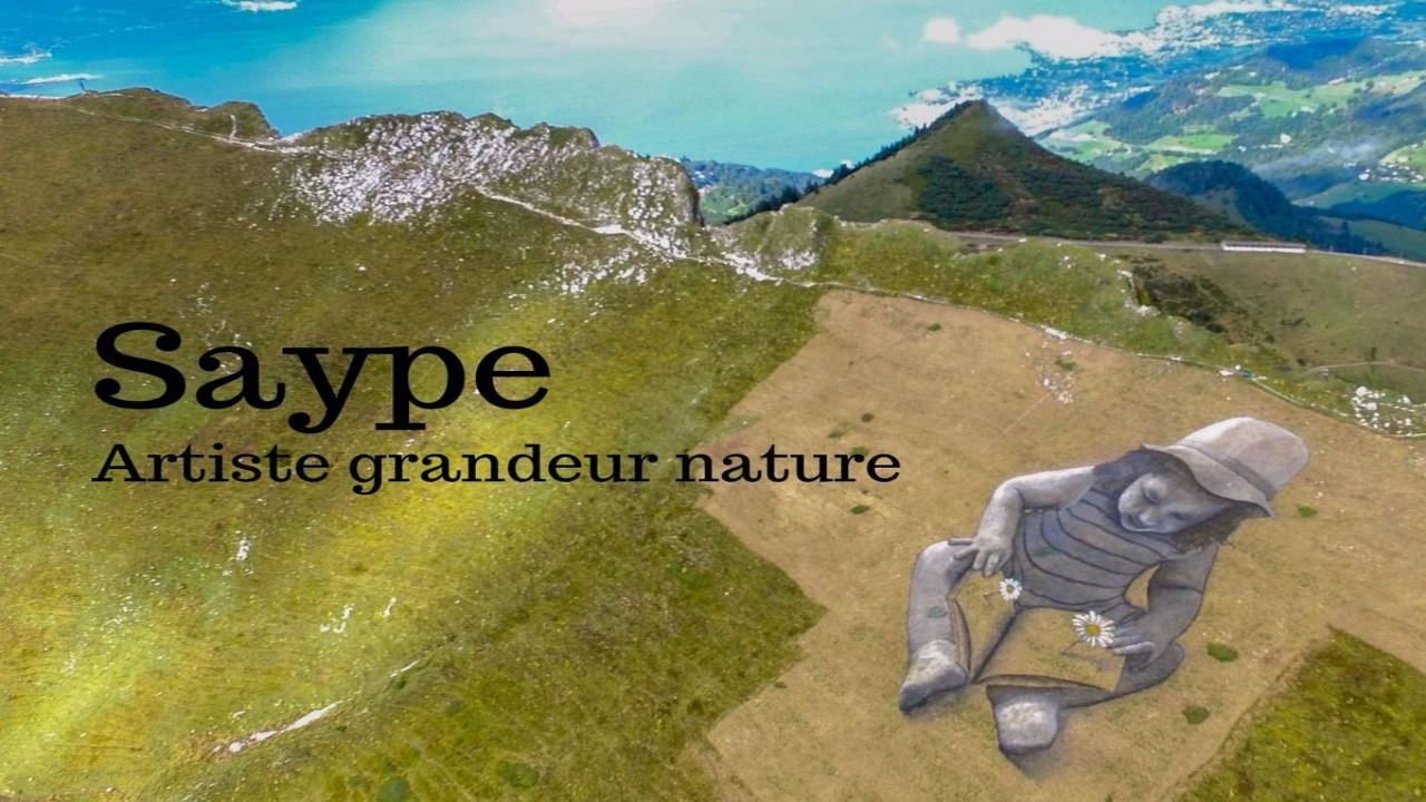 Saype, artiste grandeur nature backdrop