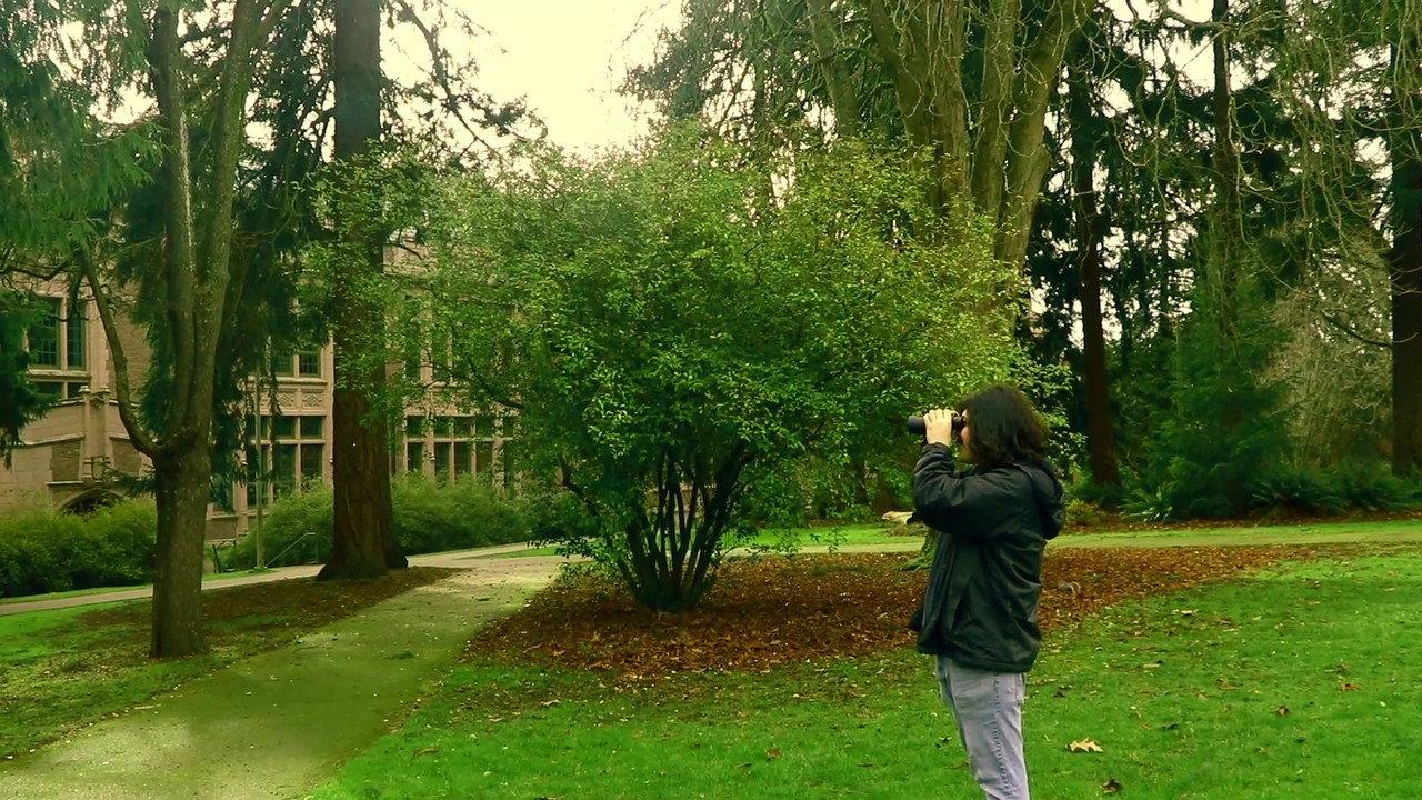 A Man Finds Binoculars backdrop