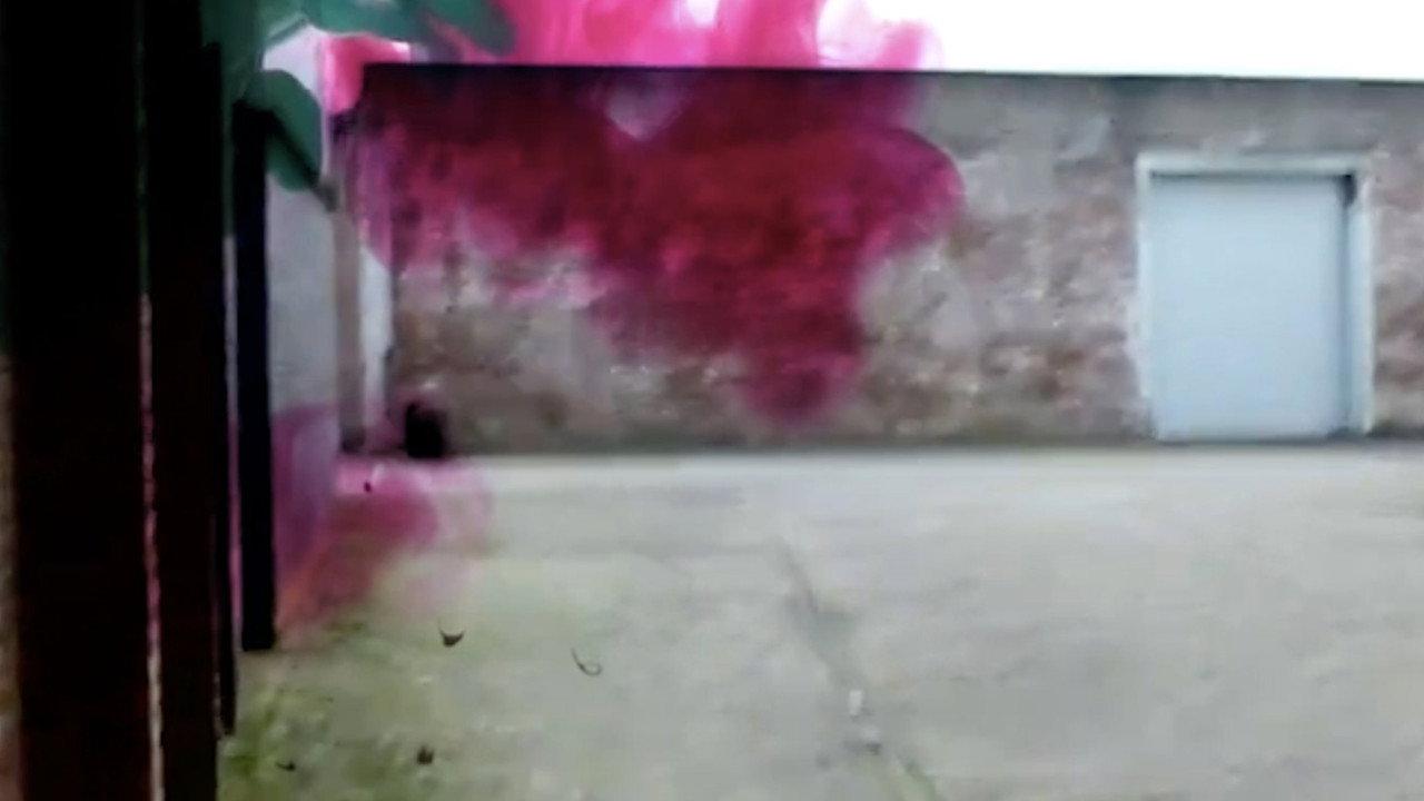 Untitled backdrop