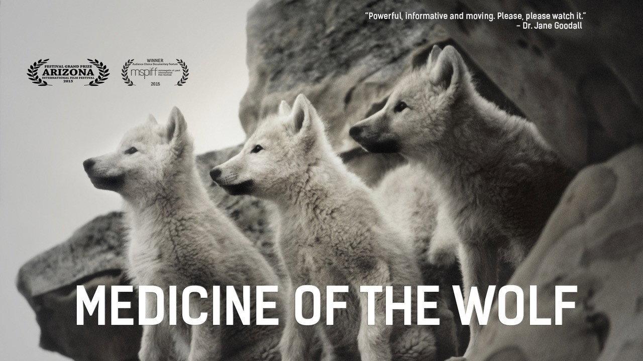 Medicine of the Wolf backdrop