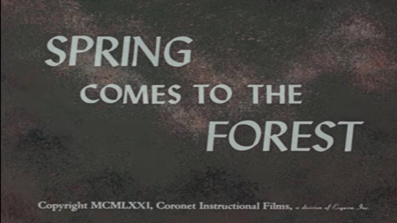 Spring Comes to the Forest backdrop