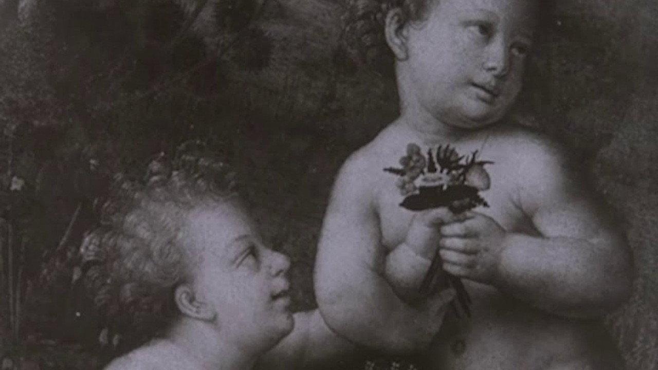 Leonardo Da Vinci The Tragic Pursuit of Perfection backdrop
