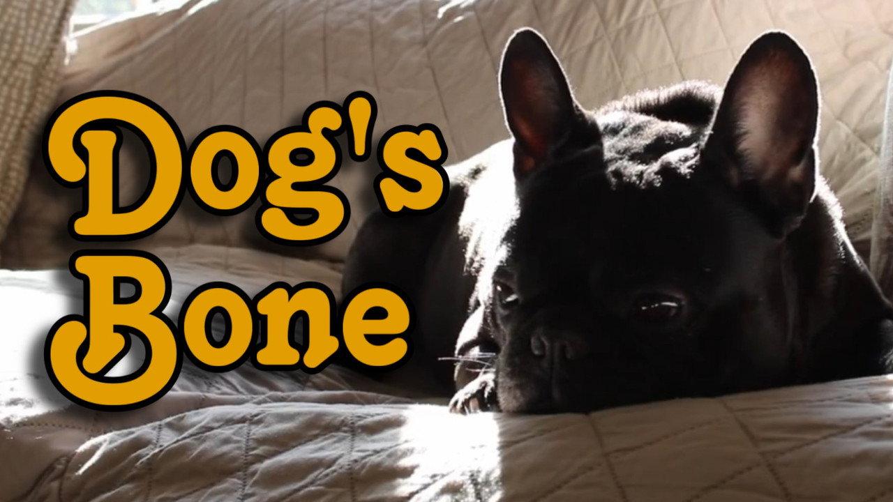 Dog's Bone backdrop