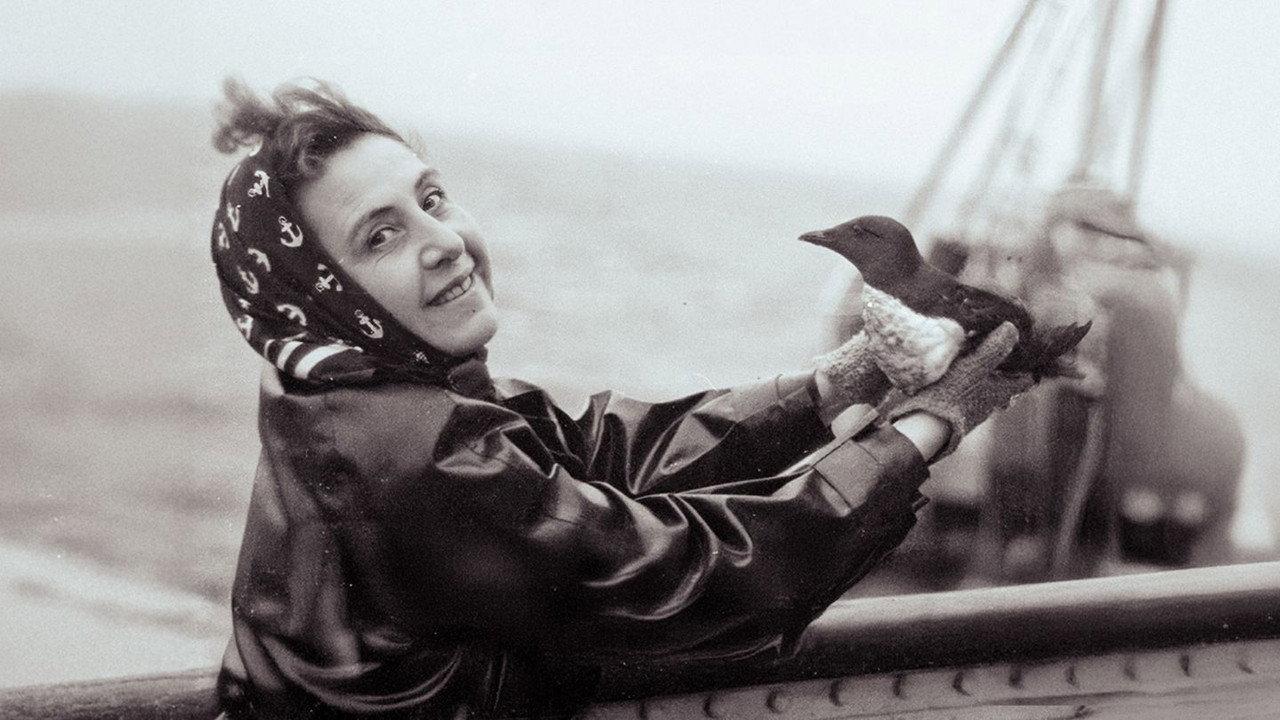 Anita Conti, l'appel du large backdrop