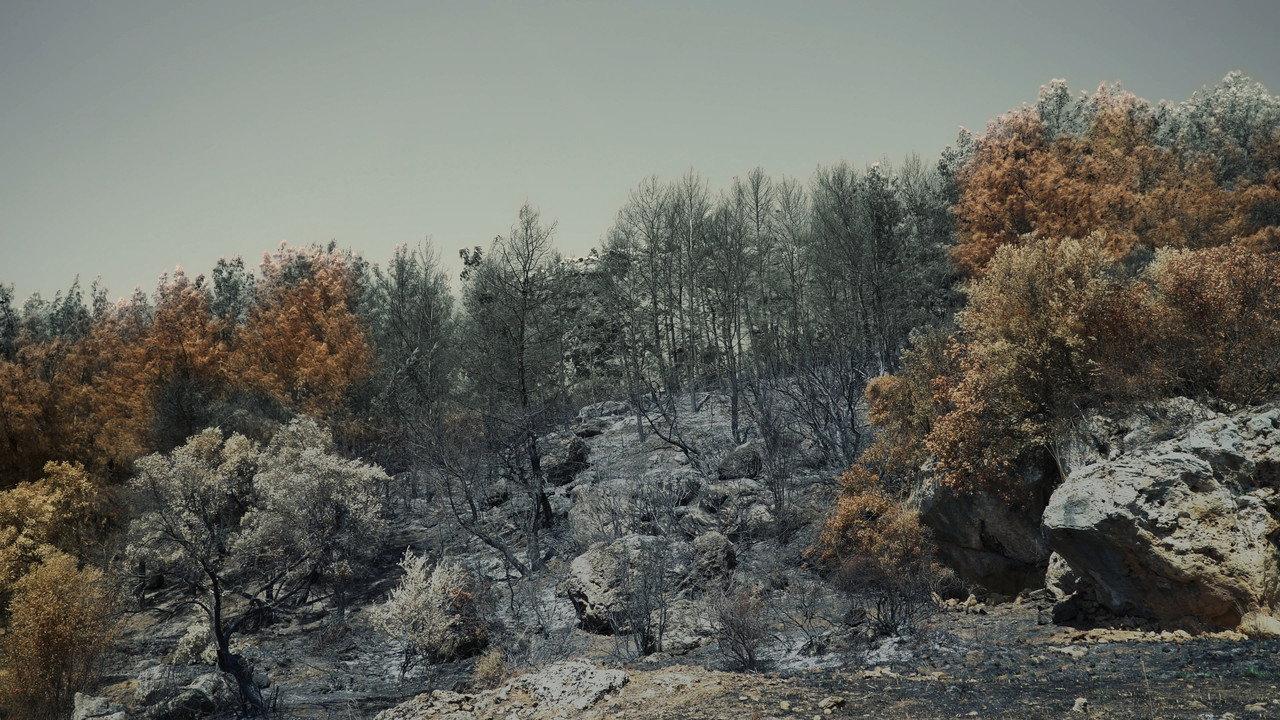 Kül ve Ciğer backdrop