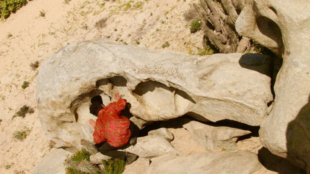 Todos tienen algo Desierto backdrop