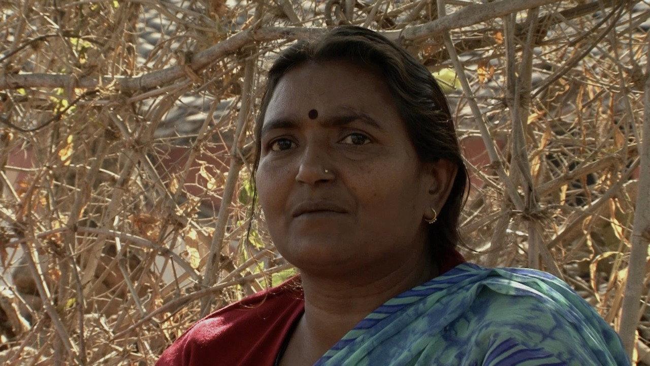 Ahimsa - Die Stärke von Gewaltfreiheit backdrop