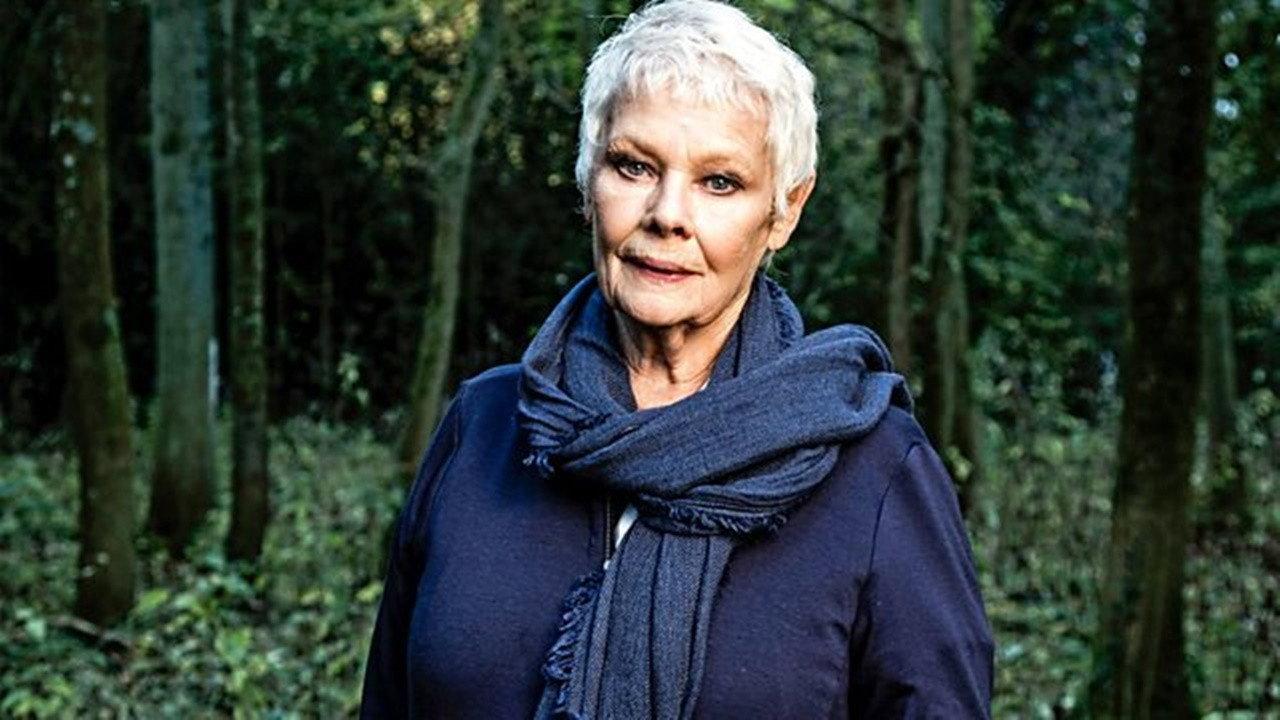 Judi Dench: My Passion for Trees backdrop