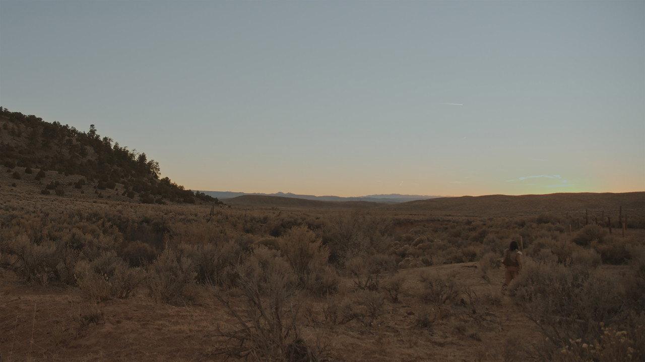 Blue Dusk backdrop