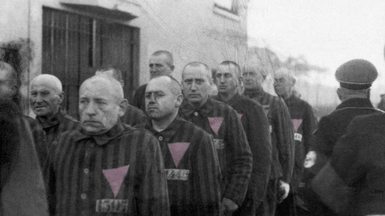 The Pink Triangle and the Nazi Cure for Homosexuality backdrop