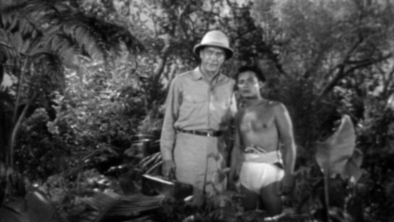 Jungle Hell backdrop