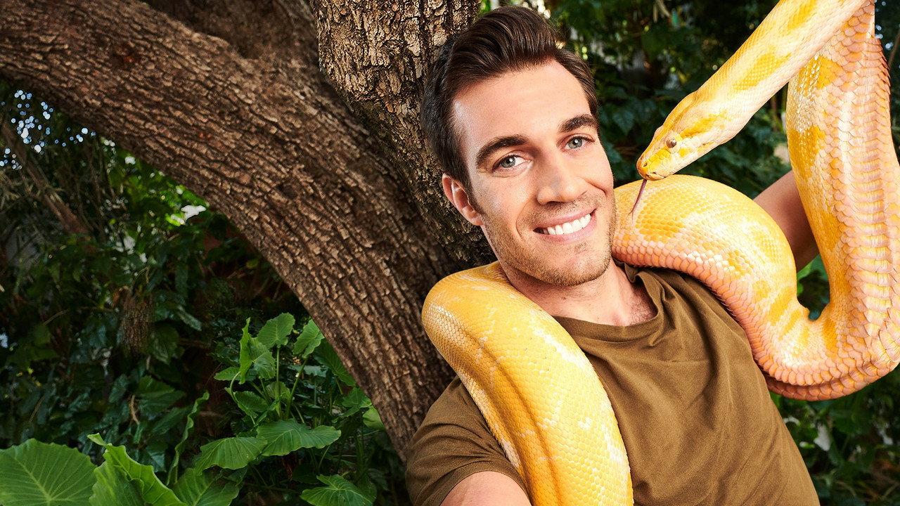 Evan Goes Wild backdrop